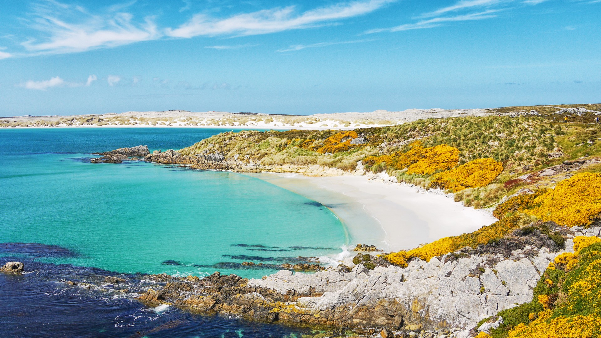 The Best Things To Do In The Falklands TravelLocal