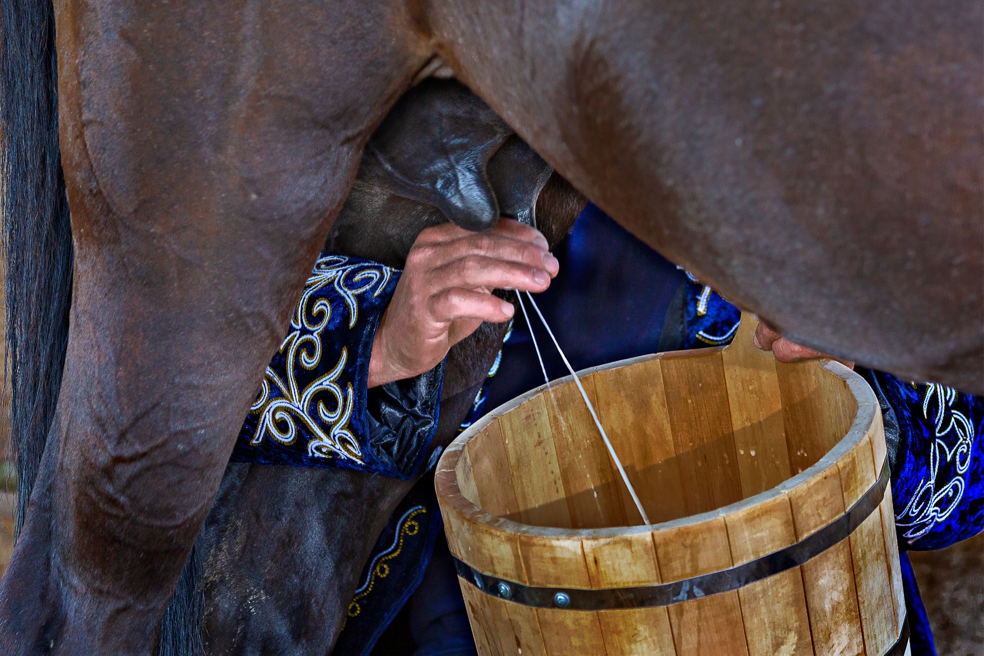 The cultural highlights of Kyrgyzstan TravelLocal