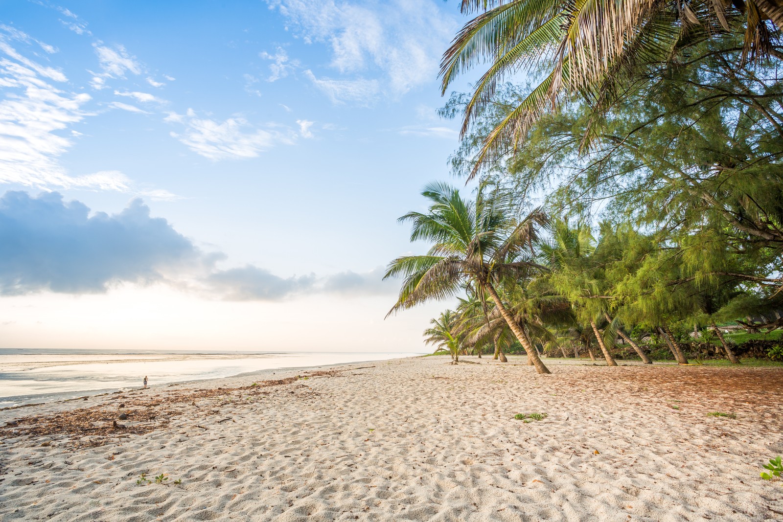 Sands and palm trees of Diani Beach in Kenya