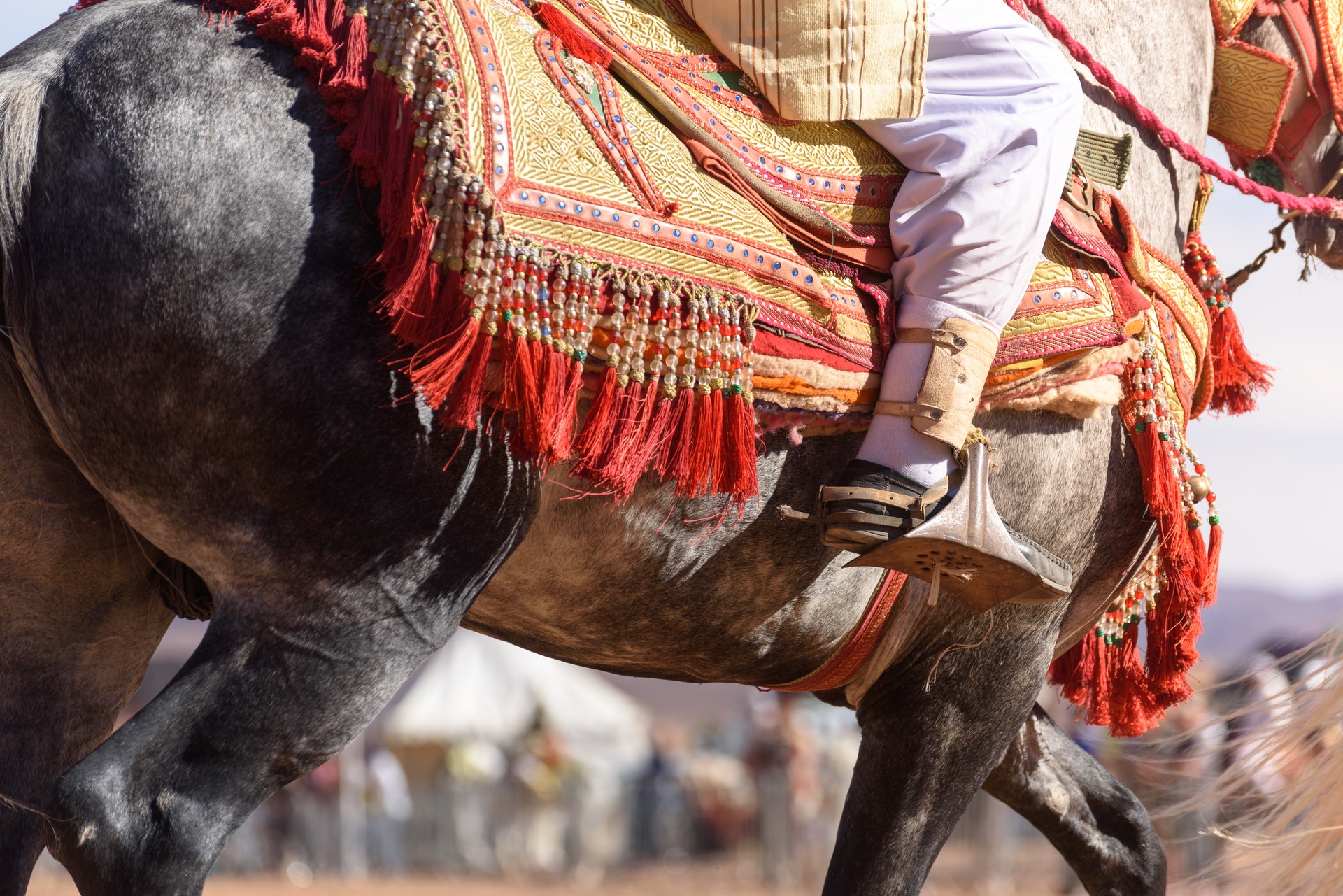 Person on horseback at the Festival of Roses in Kalaat M'Gouna in the spring, the best time to visit Morocco