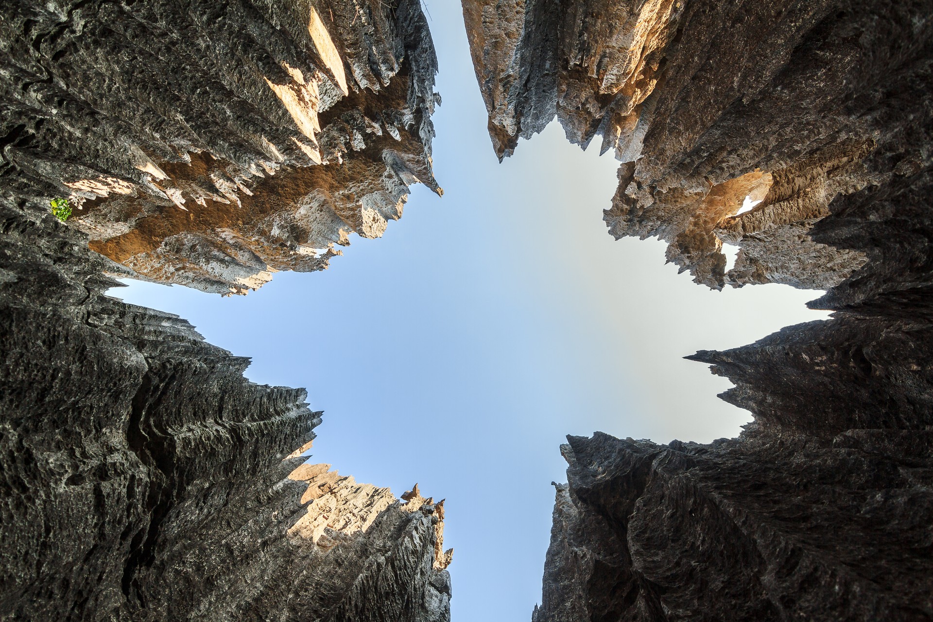 Looking up from below in the Tsingy de Bemaraha stone forest