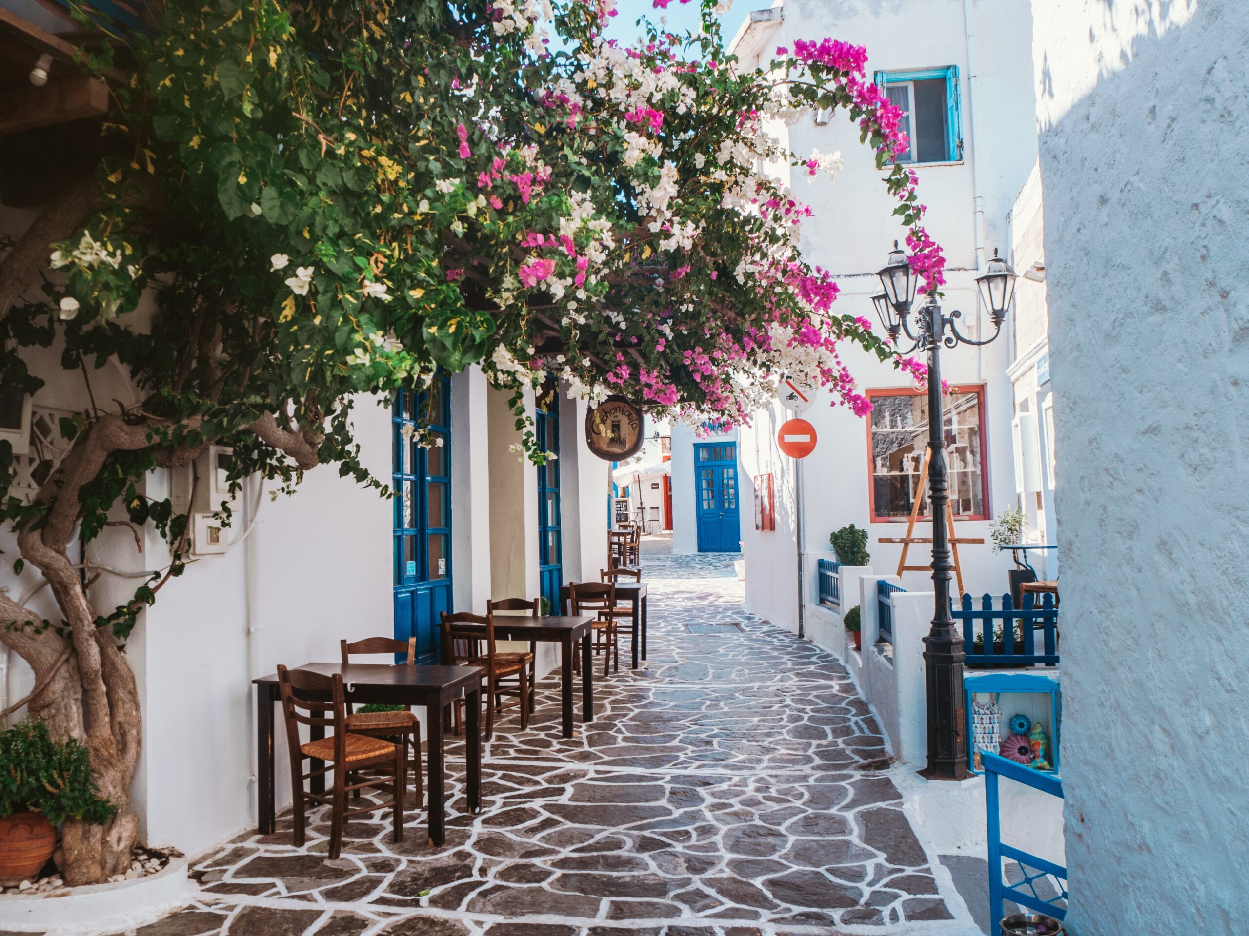 pink flowers hanging over street in Milos