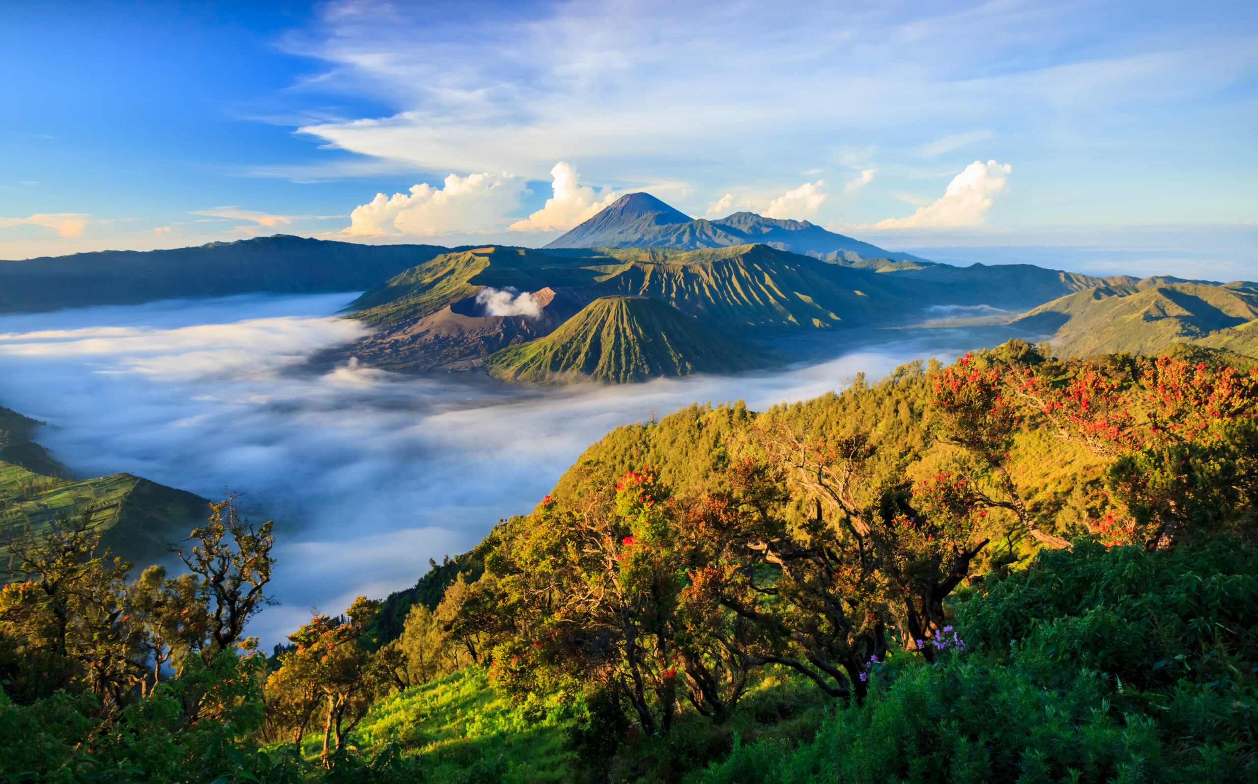 Bromo, Indonesien