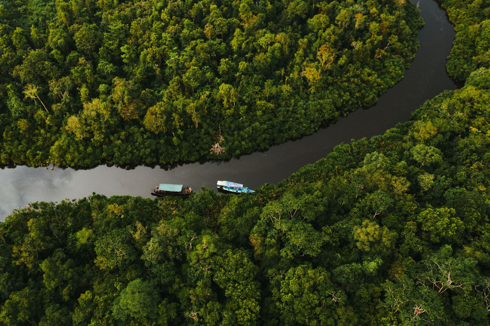 Boat on the river, aerial of Tanjung Puting National Park in Borneo