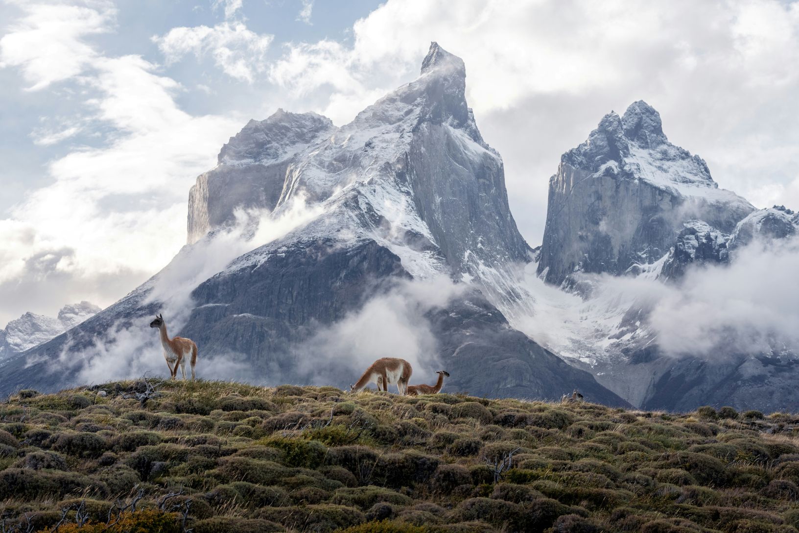 Torres del Paine landscape, Chile