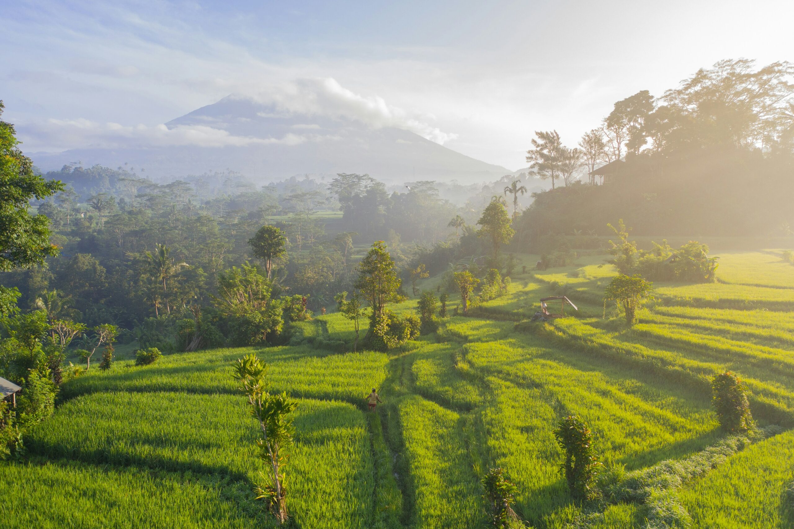 Bali off the beaten track: rice terraces of Sidemen with Mount Agung in the background