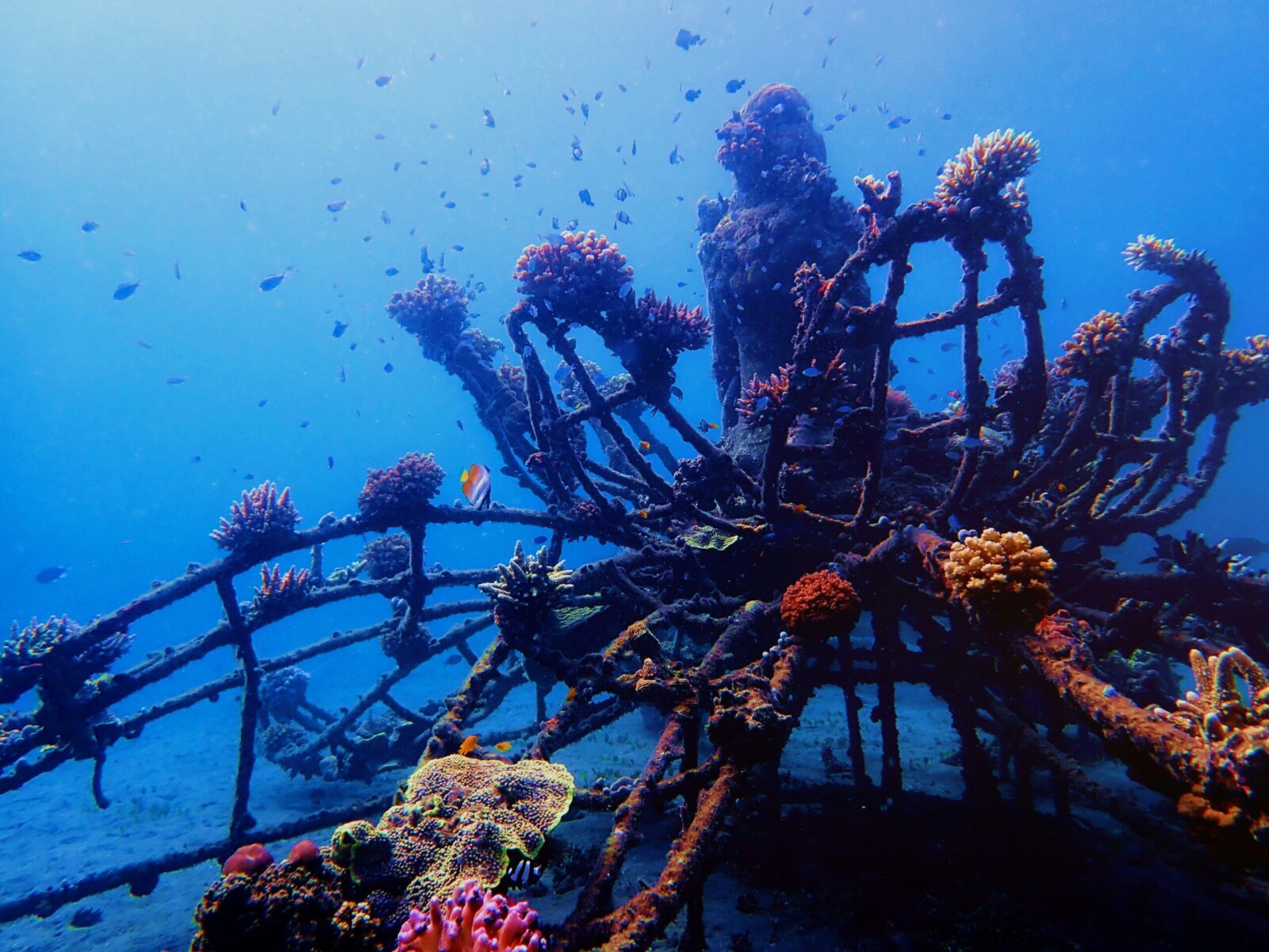 Underwater diving site in Pemuteran, Bali