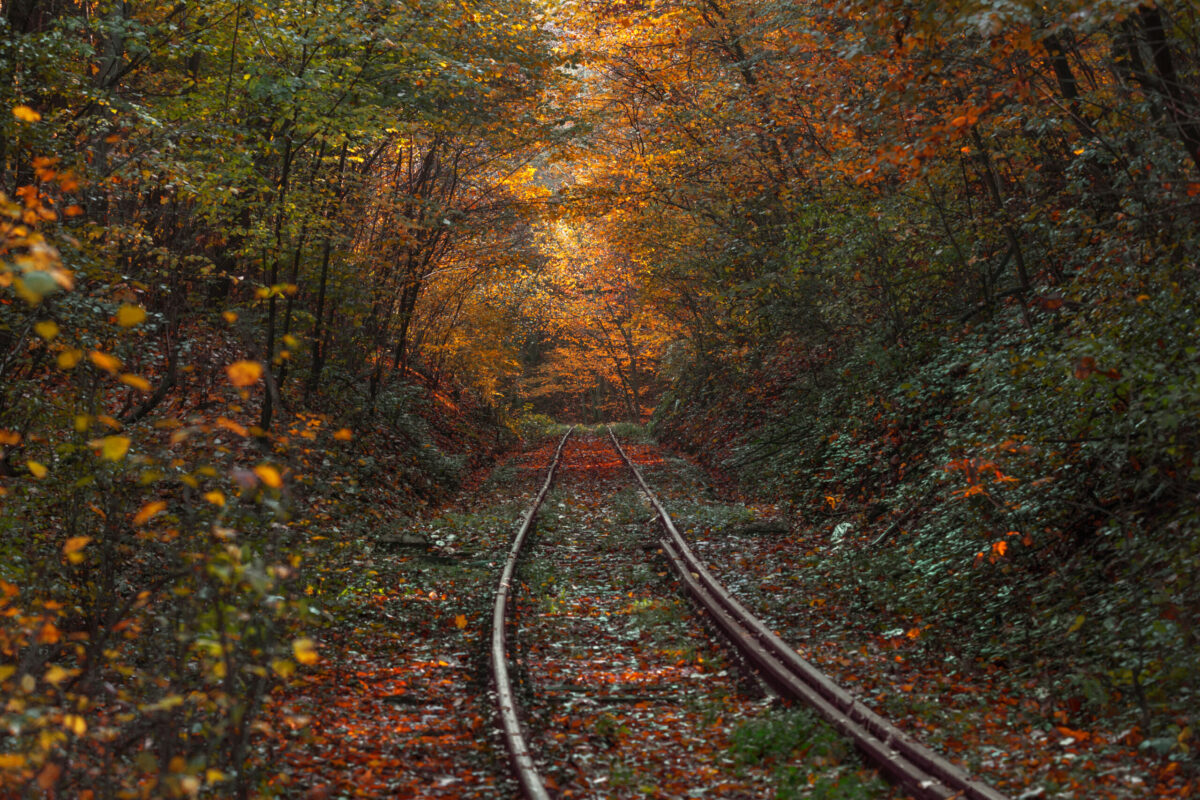 Things to do in Romania: Oravița-Anina Railway tracks going through an autumnal forest