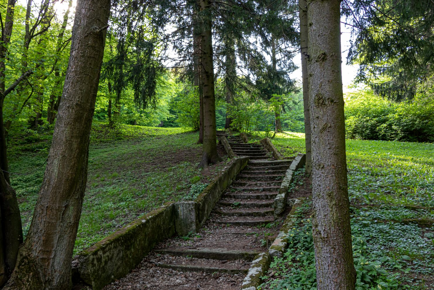 Forest Park trail in Slovakia's capital