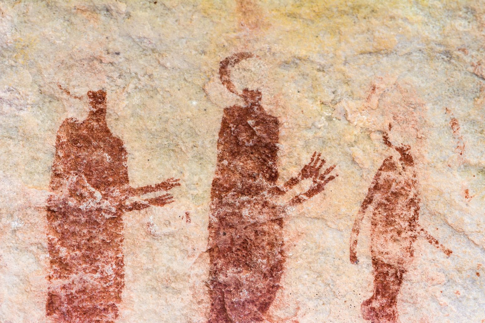 San rock art in the Cederberg Mountains of South Africa
