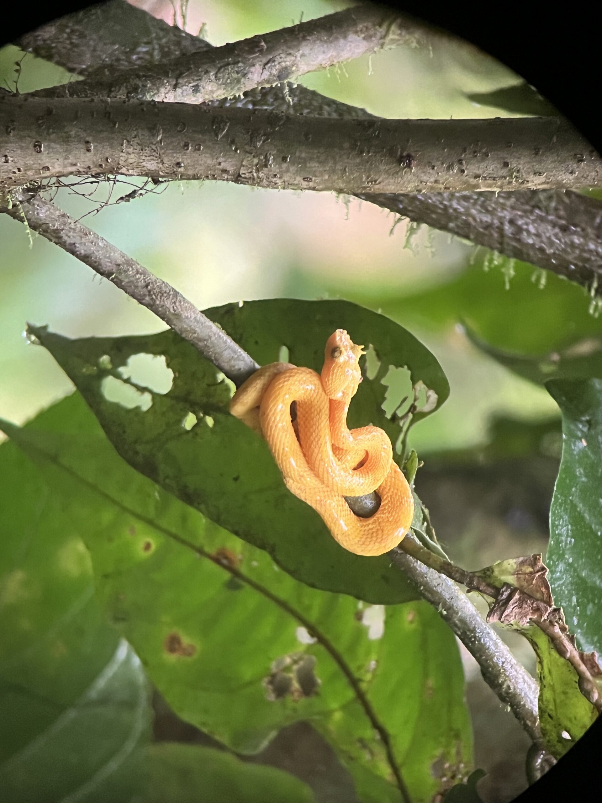 Photo by traveler Karen Gamow in Costa Rica