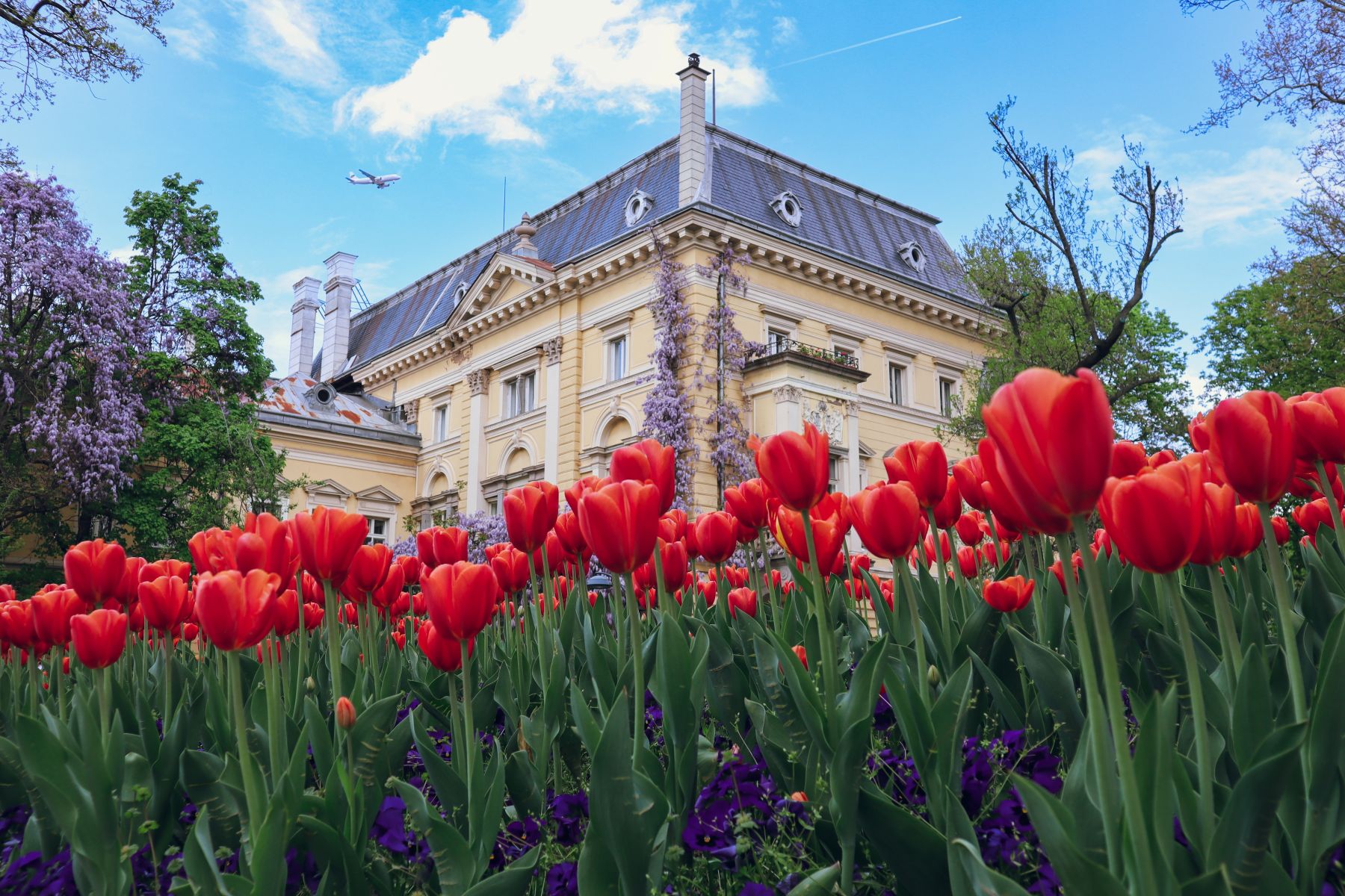 Bulgaria's National Art Gallery surrounded by tulips in Sofia