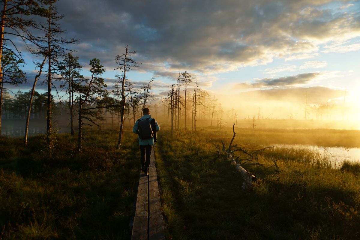Person hiking in Lahemaa National Park in the early hours of morning