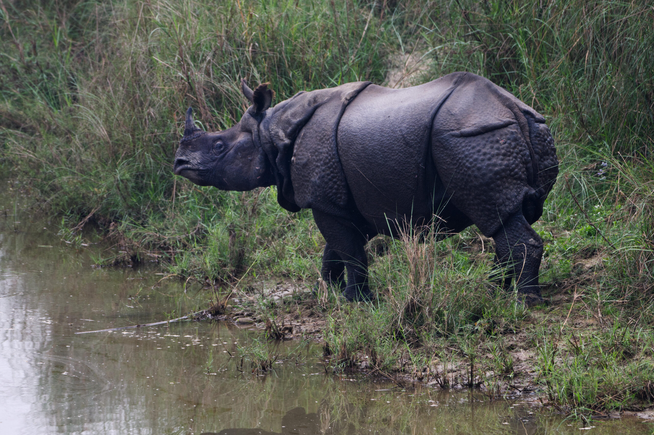 Photo by traveler Lucille Marlen Manikkam in India
