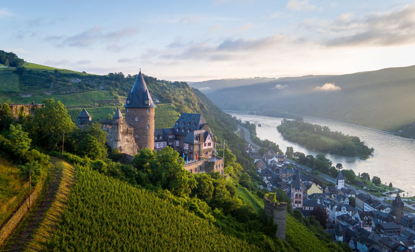 Castle overlooking landscape of vineyards and river in the Rhine Valley