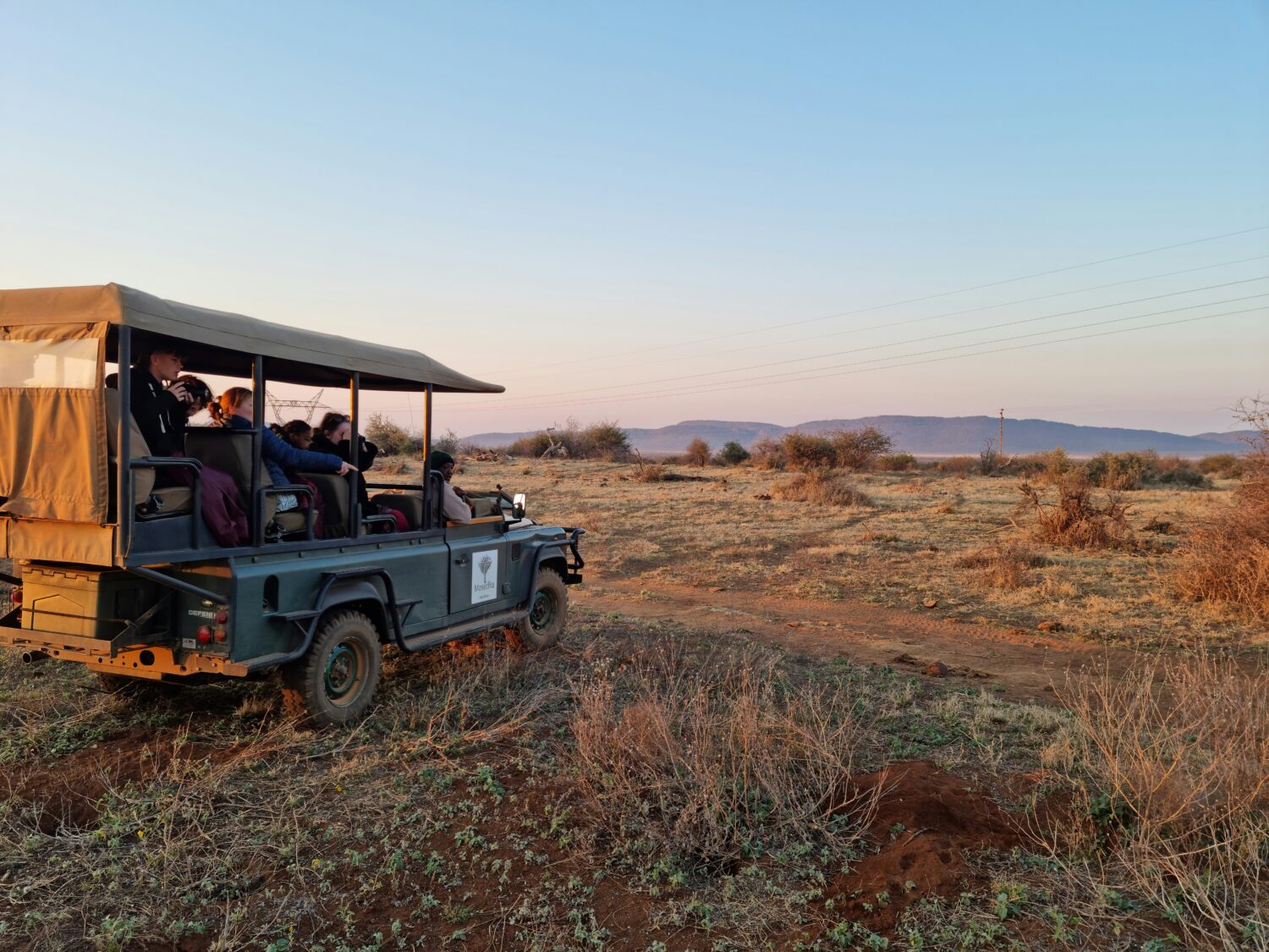 Safaris in South Africa: Madikwe Game Reserve