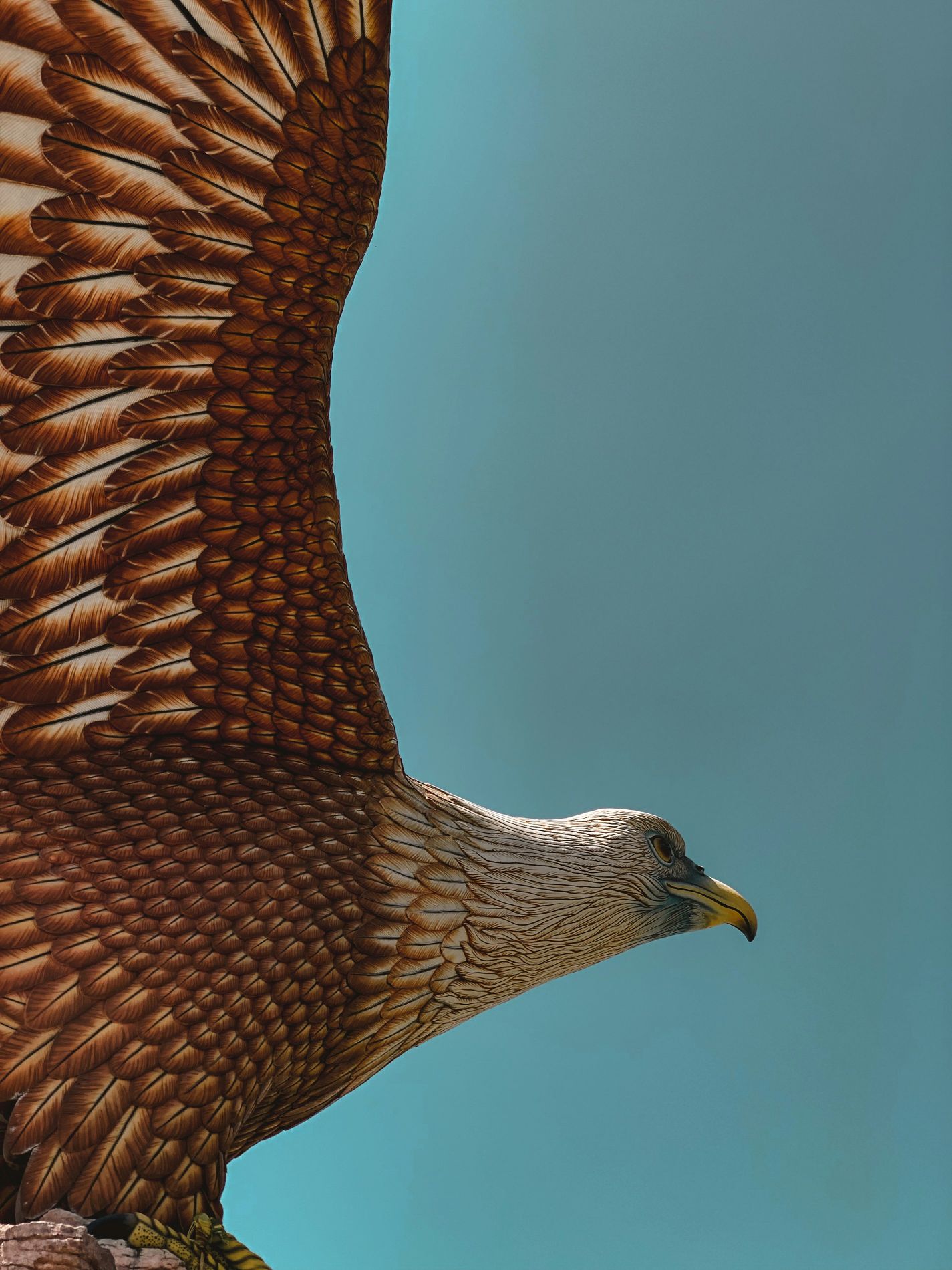 Close-up of the eagle statue on Langkawi Island, Malaysia
