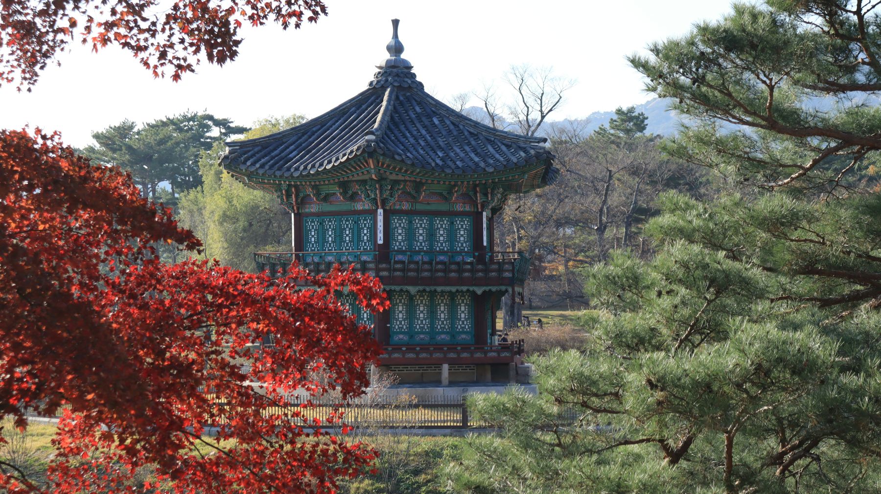A temple surrounded by fall foliage in Seoul
