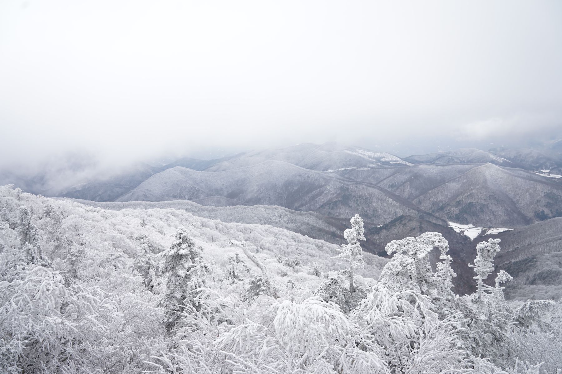 Yongpyong resort in winter, the best time to travel to South Korea for skiing and ice festivals