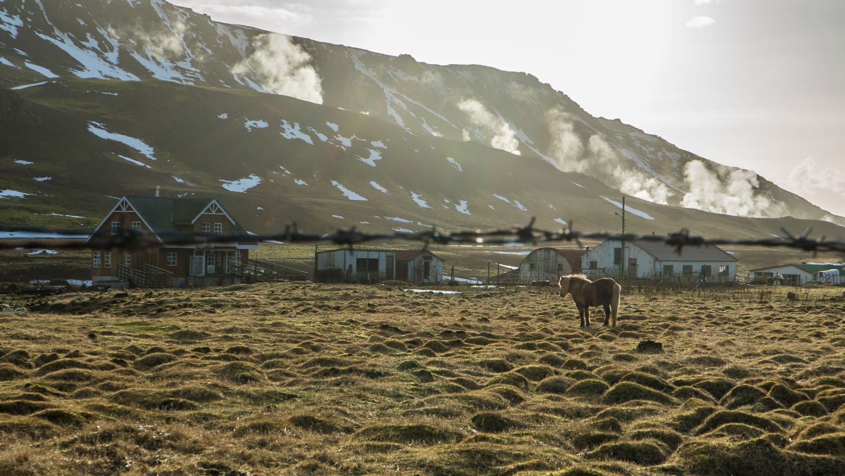 Horse in pasture amid a mountainous landscape in rural Hveragerði, Iceland